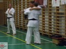 3 éves a Seishin Dojo