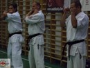 3 éves a Seishin Dojo