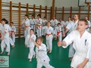 V. Cserháti Edzőtábor