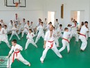 V. Cserháti Edzőtábor