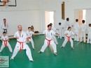 V. Cserháti Edzőtábor