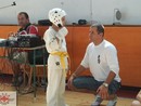 XI. Nagykun Kupa