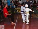 XI. Nagykun Kupa