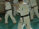 Sensei Bódi István Szeminárium