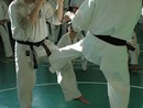 Sensei Bódi István Szeminárium