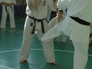 Sensei Bódi István Szeminárium