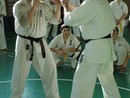 Sensei Bódi István Szeminárium