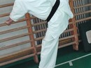 Sensei Bódi István Szeminárium