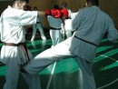Sensei Bódi István Szeminárium