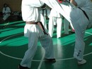 Sensei Bódi István Szeminárium