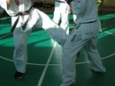 Sensei Bódi István Szeminárium