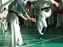 Sensei Bódi István Szeminárium