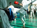 Sensei Bódi István Szeminárium
