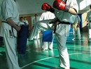 Sensei Bódi István Szeminárium
