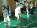 Sensei Bódi István Szeminárium