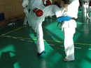 Sensei Bódi István Szeminárium
