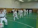 Sensei Bódi István Szeminárium