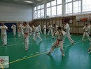 Sensei Bódi István Szeminárium