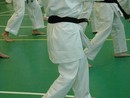 Sensei Bódi István Szeminárium