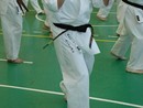 Sensei Bódi István Szeminárium