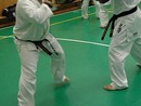 Sensei Bódi István Szeminárium