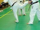 Sensei Bódi István Szeminárium