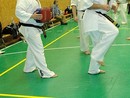 Sensei Bódi István Szeminárium
