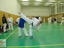 Sensei Bódi István Szeminárium