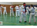 Sensei Bódi István Szeminárium