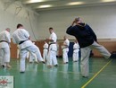 Sensei Bódi István Szeminárium