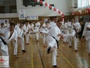 I. Karate Maraton