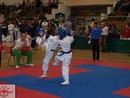 Orosháza Open