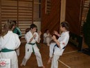 Orosháza Open
