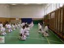4 éves a Seishin Dojo