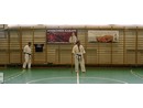 4 éves a Seishin Dojo