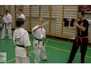 4 éves a Seishin Dojo