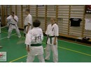 4 éves a Seishin Dojo