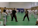 4 éves a Seishin Dojo
