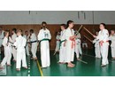 4 éves a Seishin Dojo