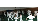 4 éves a Seishin Dojo