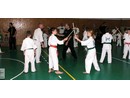 4 éves a Seishin Dojo