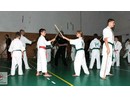 4 éves a Seishin Dojo