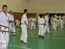 4 éves a Seishin Dojo