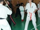 4 éves a Seishin Dojo