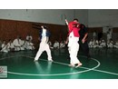 4 éves a Seishin Dojo