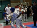 Knock Down Karate Diákolimpia