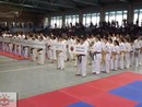 Knock Down Karate Diákolimpia