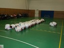 Bemutató edzés