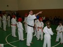 Bemutató edzés