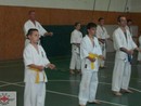 Sensei Gyarmati Imre kesztyűs tréninget vezetett a Seishin Dojóban